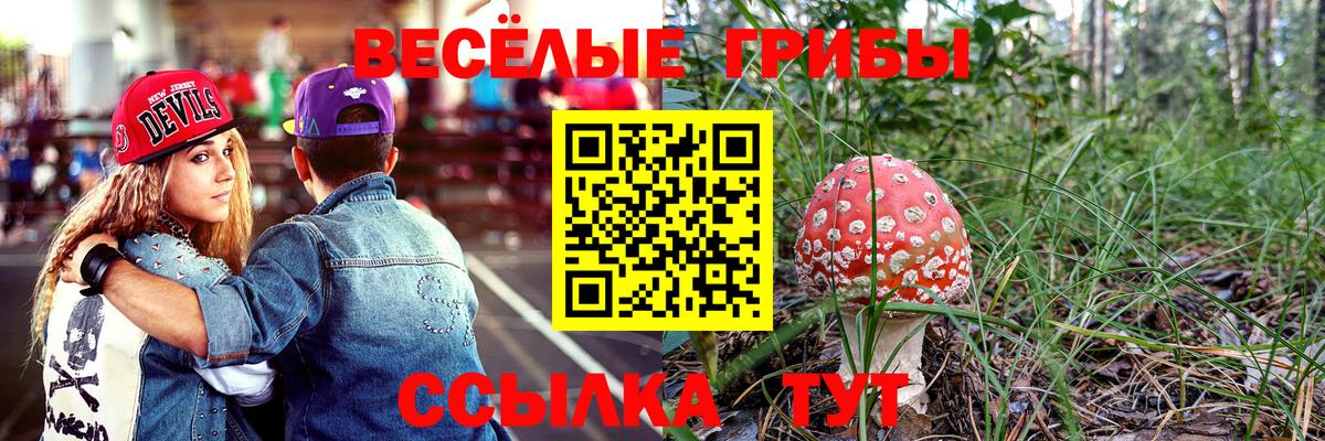 ГАШ  Каннабис  Мефедрон   КОКАИН  Коркино  Вход с VPN  ТГК 