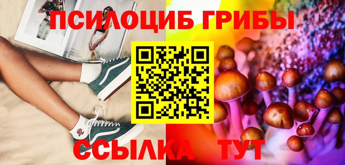 Псилоцибиновые грибы прущие грибы  Вход с VPN  Коркино  Псилоцибиновые грибы Cubensis 