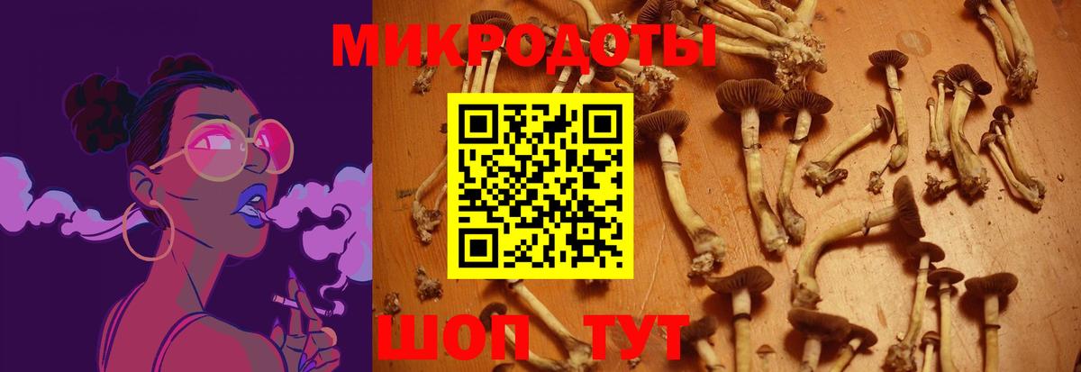 Псилоцибиновые грибы MAGIC MUSHROOMS Коркино