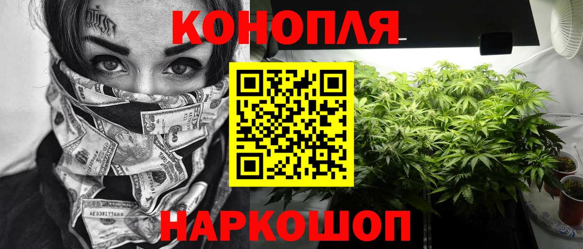 Шишки марихуана планчик  Каннабис семена  Вход с VPN  Коркино  Шишки марихуана THC 21%  Каннабис SATIVA & INDICA 